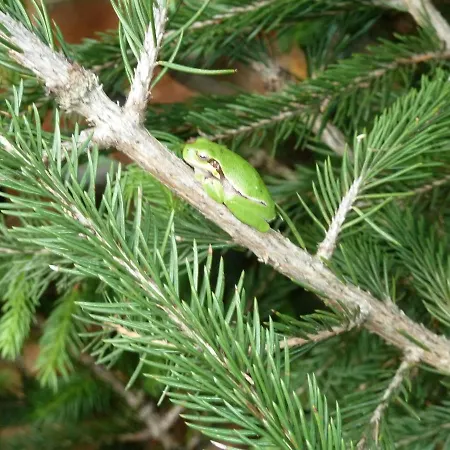 Couette-café Bb Le Violette