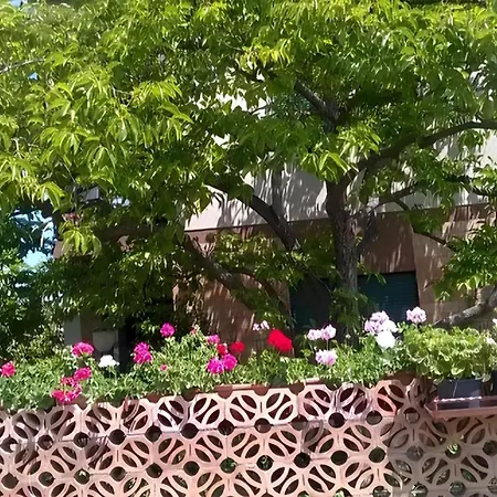 Bb Le Violette 3* 토르톨리