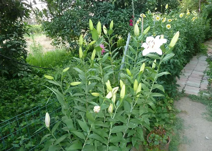 Bb Le Violette Panzió Tortolì